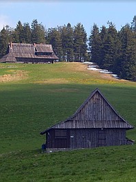 Korona Gór Polski 2: Wysoka Kopa (8)