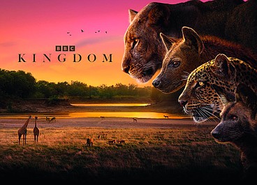 Królestwo zwierząt (1)