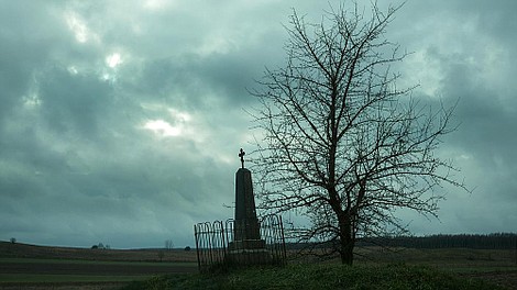 Kruk. Szepty słychać po zmroku