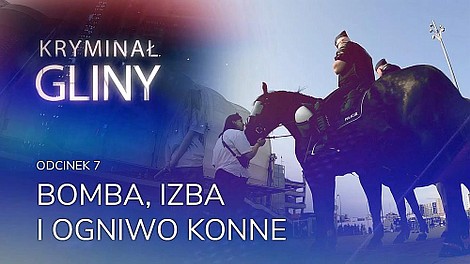 Kryminał: Gliny (1)