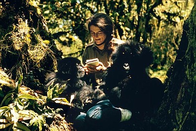 Kto zabił Dian Fossey? (1)