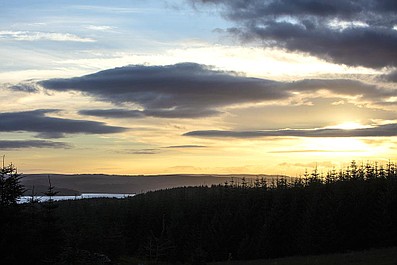 Lasy Kielder: Lato (2)