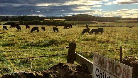Look Back in Angus