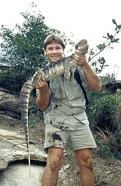 Łowca krokodyli: najlepsze wspomnienia: Steve i smok (1)