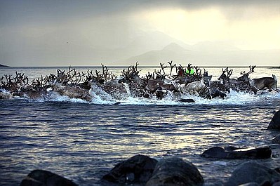 Ludzkie oblicze planety: Arktyka - kraina lodu (3/8)