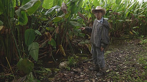 Majowie: Tajemnicza cywilizacja: Początki (1)