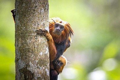 Małe wielkie podróże (1)