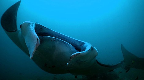 Malediwy. Wodne królestwo Oceanu Indyjskiego (1)