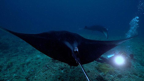 Malediwy. Wodne królestwo Oceanu Indyjskiego (3)