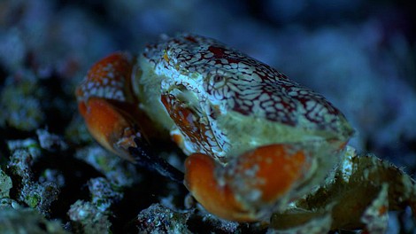Malediwy. Wodne królestwo Oceanu Indyjskiego (1)