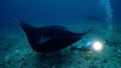 Malediwy. Wodne królestwo Oceanu Indyjskiego (1)