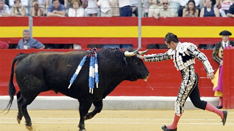 Matador