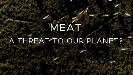Mięso - nasz wróg?