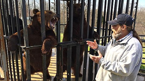 Mój przyjaciel grizzly: Zbiegłe niedźwiedzie