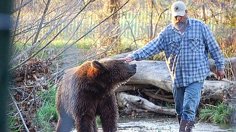 Mój przyjaciel grizzly (3/6)