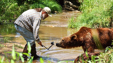 Mój przyjaciel grizzly: Odpuść