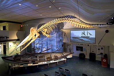 Muzeum pełne tajemnic 8: Dolley Madison, świąteczny mecz, wybuchający wieloryb (1)