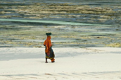 Najdziksze wyspy: Zanzibar