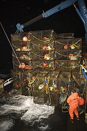 Najniebezpieczniejszy zawód świata: Kraby po zsypie w dół (2)