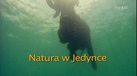 Natura w Jedynce: U wybrzeży Nowej Zelandii: Zatoki Regionu Norbours (1/6)