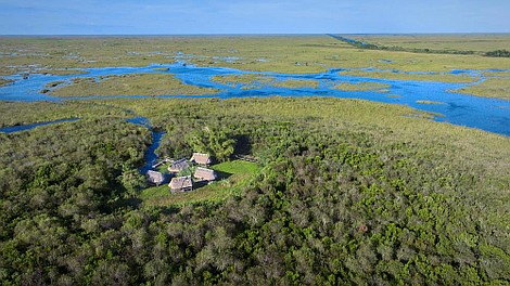Natura w Jedynce: Królestwo mokradeł: Park Narodowy Everglades (3/4)