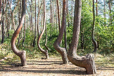 Niewyjaśnione tajemnice świata: Tajemnicze konstrukcje (2)