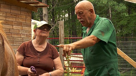 Niezwykły dr Pol: Swędzące kłopoty (15)