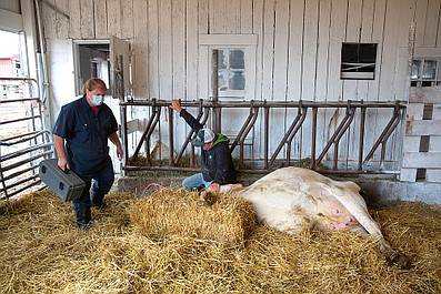 Niezwykły dr Pol: Klacze w kłopotach (2)