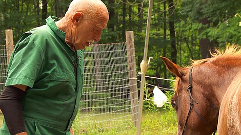 Niezwykły dr Pol: Dzień jak co dzień (11)