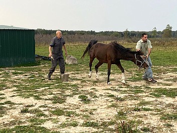 Niezwykły dr Pol: Dzień jak co dzień (11)