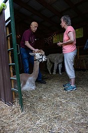 Niezwykły dr Pol: Weterynarz w Waszyngtonie (10)