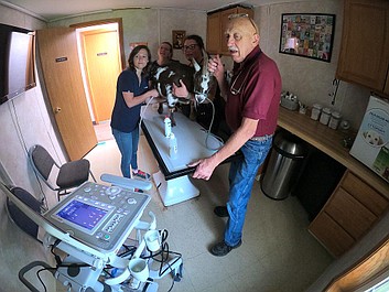 Niezwykły dr Pol: Zalety zbilansowanej diety (4)