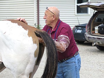 Niezwykły dr Pol: Kot włóczykij (3)