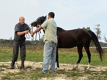 Niezwykły dr Pol: Dzień jak co dzień (11)