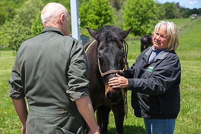 Niezwykły dr Pol: Wystawowy zawrót głowy (17)