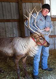 Niezwykły dr Pol: Mamma mia! (7)