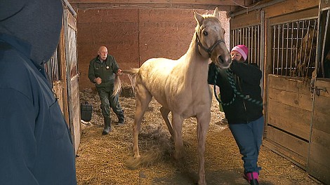 Niezwykły dr Pol: Mamma mia! (7)
