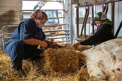 Niezwykły dr Pol: Megaszczeniaki (10)