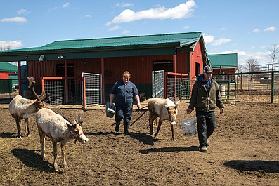 Niezwykły dr Pol: Nowy rozdział (14)