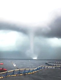 Niszczycielskie żywioły: Przetrwać tornado (3)