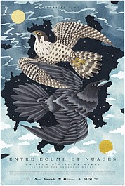 Normandia między oceanem a niebem