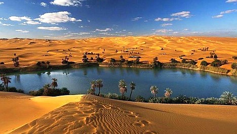 Oazy - na straży pustyni: Zjednoczone Emiraty Arabskie (2)