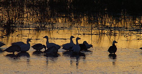 Olśniewająca Ameryka: Appalachy (5)