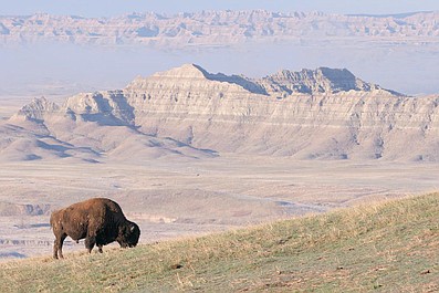 Parki narodowe Ameryki: Big Bend (5)