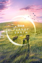 Planeta Ziemia 3 (5)