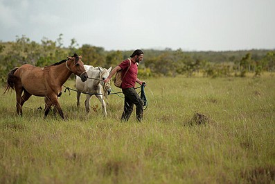 Plemienna szkoła przetrwania: Amazonia: Namorzynowy labirynt (5)