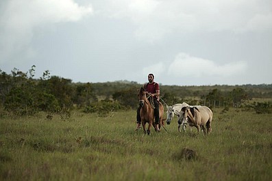 Plemienna szkoła przetrwania: Amazonia: Zabójcze równiny (2)