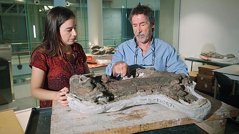 Pochodzenie ssaków: Mistrzowie sztuki przetrwania (2)