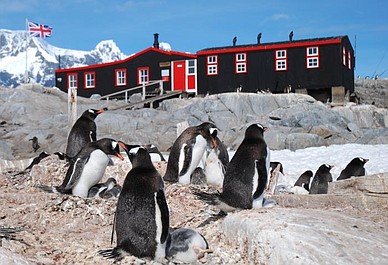 Poczta pingwinów na Antarktydzie