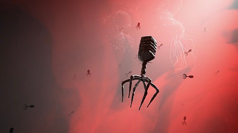 Fagi, pogromcy bakterii